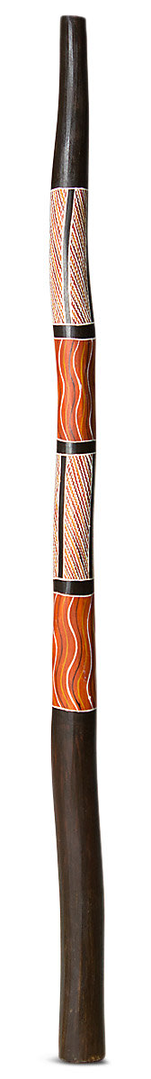 Ngongu Ganambarr Yidaki - Buy Traditional Arnhem Land Didgeridoos ...