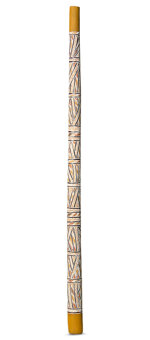 Buy Didgeridoo Online 