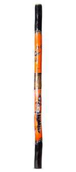 Buy Didgeridoo Online | Didgeridoo Shop | Spirit Gallery Didgeridoos