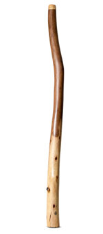 DIDGERIDOO NATURAL PAINT didgeridoo cera dapi borsa didgeridoo