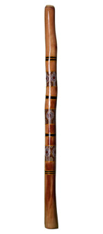 Tracey Denney Didgeridoo (AB311) 