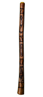 Franki Li Didgeridoo (AB319) 