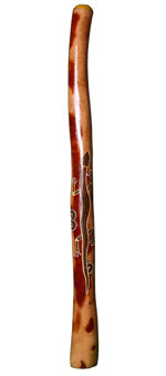 Tracey Denney Polished Didgeridoo (AB326)