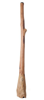 CrookedStixz Didgeridoo  (AH118) 