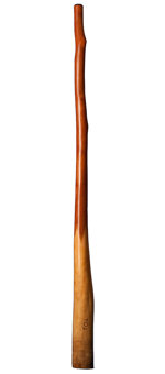 CrookedStixz Didgeridoo (AH155) 