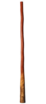 CrookedStixz Didgeridoo (AH157) 