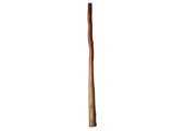 CrookedStixz Didgeridoo (AH160)