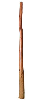 CrookedStixz Didgeridoo (AH165)
