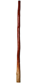 CrookedStixz Didgeridoo (AH166) 