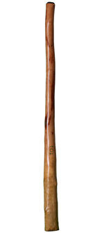 CrookedStixz Didgeridoo (AH168) 