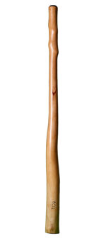 CrookedStixz Didgeridoo (AH178)