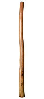 CrookedStixz Didgeridoo (AH179)