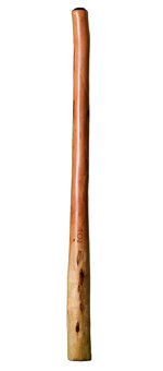 CrookedStixz Didgeridoo (AH180) 