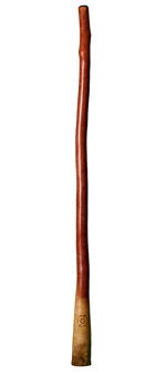 CrookedStixz Didgeridoo (AH184)