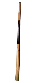 CrookedStixz Didgeridoo (AH186)