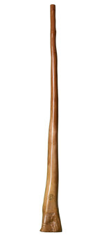 CrookedStixz Didgeridoo (AH187)