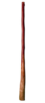 CrookedStixz Didgeridoo (AH190) 