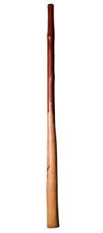 CrookedStixz Didgeridoo (AH191)