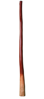 CrookedStixz Didgeridoo (AH196)