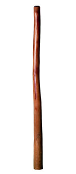 CrookedStixz Didgeridoo (AH198)  