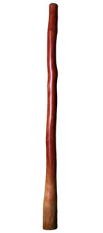 CrookedStixz Didgeridoo (AH201)