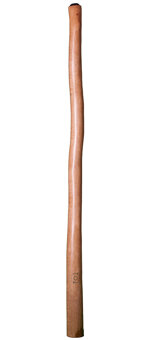 CrookedStixz Didgeridoo (AH208)