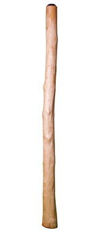 CrookedStixz Didgeridoo (AH211)