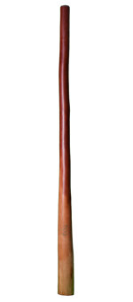 CrookedStixz Didgeridoo (AH212)