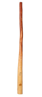 CrookedStixz Didgeridoo (AH219)