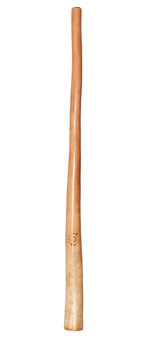 CrookedStixz Didgeridoo (AH222) 