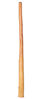 CrookedStixz Didgeridoo (AH224)