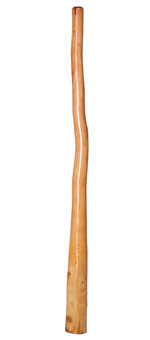 CrookedStixz Didgeridoo (AH225)