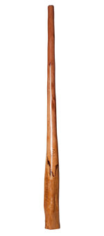 CrookedStixz Didgeridoo (AH227)