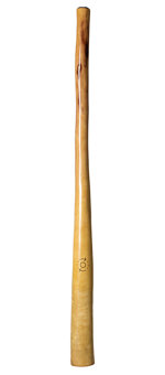 CrookedStixz Didgeridoo (AH239)