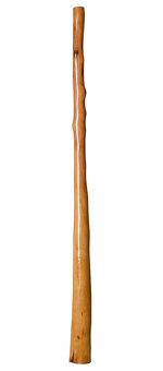 CrookedStixz Didgeridoo (AH245)