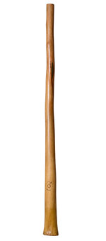 CrookedStixz Didgeridoo (AH246)