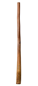 CrookedStixz Didgeridoo (AH247)