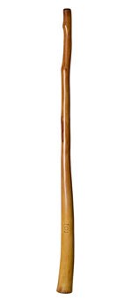 CrookedStixz Didgeridoo (AH251)