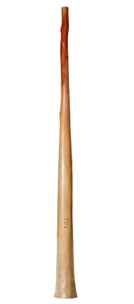 CrookedStixz Didgeridoo (AH254)
