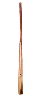 CrookedStixz Didgeridoo (AH263)