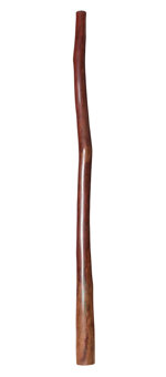 CrookedStixz Didgeridoo (AH269)