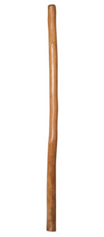 CrookedStixz Didgeridoo (AH280)