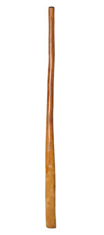 CrookedStixz Didgeridoo (AH281)
