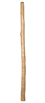 CrookedStixz Didgeridoo (AH282)