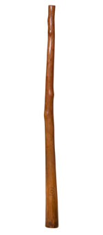 CrookedStixz Didgeridoo (AH286)