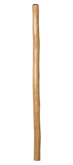 CrookedStixz Didgeridoo (AH288)