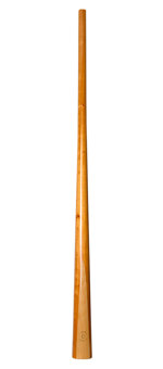 CrookedStixz Didgeridoo (AH298) 