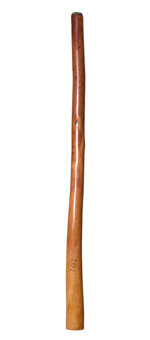 CrookedStixz Didgeridoo (AH301)