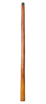 CrookedStixz Didgeridoo (AH302)