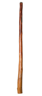 CrookedStixz Didgeridoo (AH303)